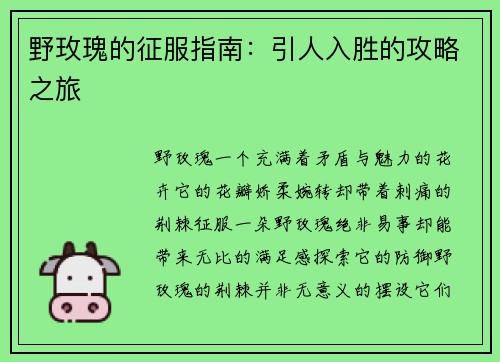 野玫瑰的征服指南：引人入胜的攻略之旅